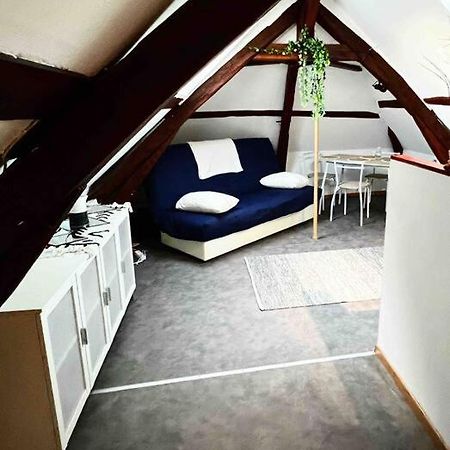 Tres Beau Studio Mansarde, Centre De Bourges Apartment Luaran gambar