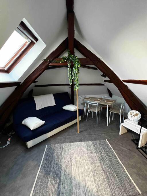 Tres Beau Studio Mansarde, Centre De Bourges Apartment Luaran gambar